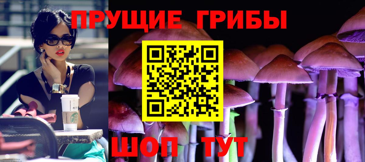 Обнинск  Псилоцибиновые грибы мухоморы  Вход с VPN 